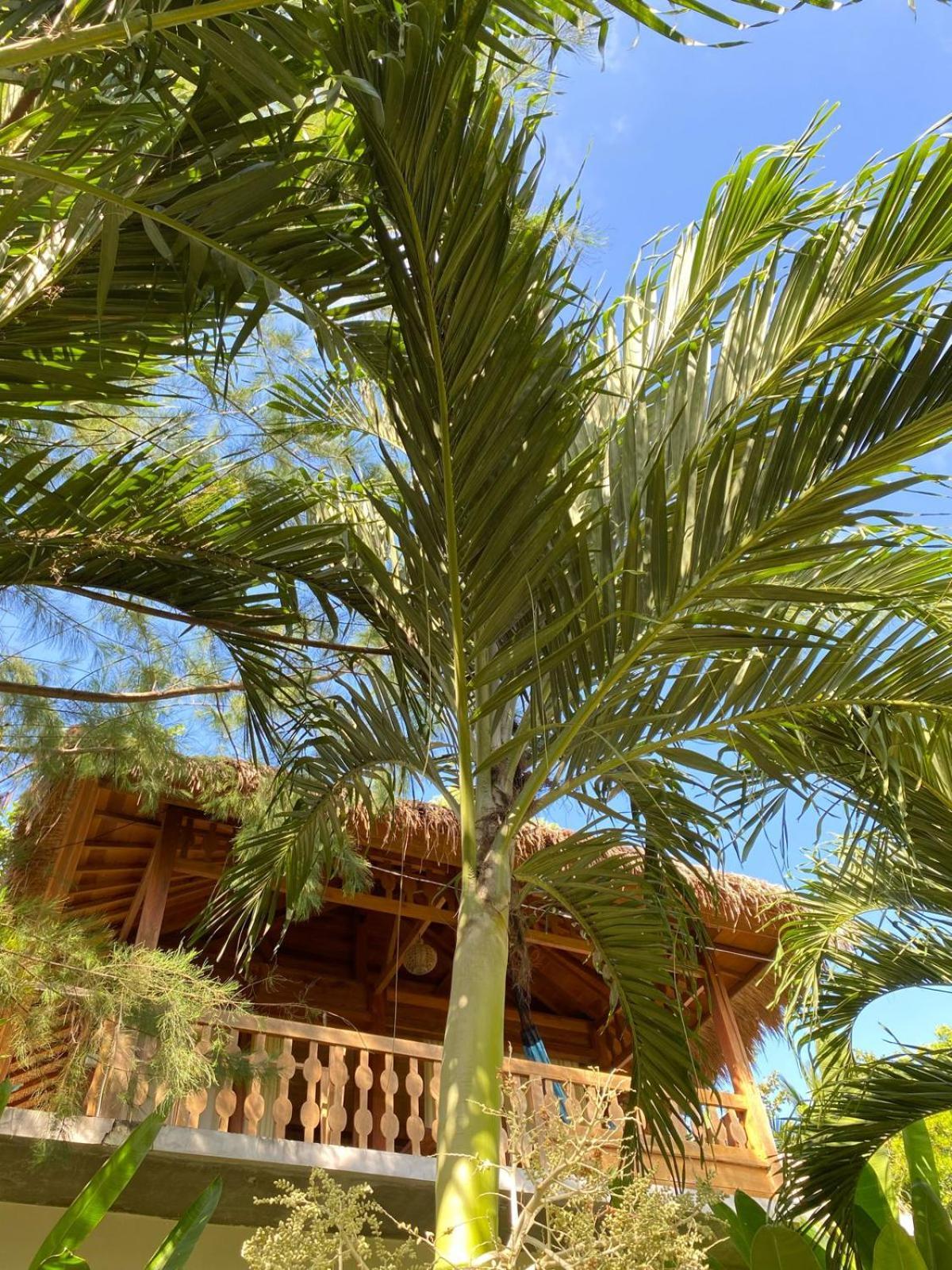 Palm Green Hotel Kuta  Exterior photo